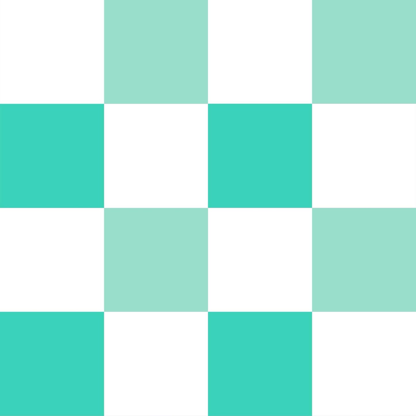 Teal and white check